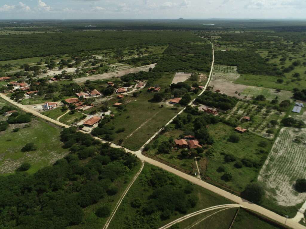 Imagem de um campo verde tirada por um drone